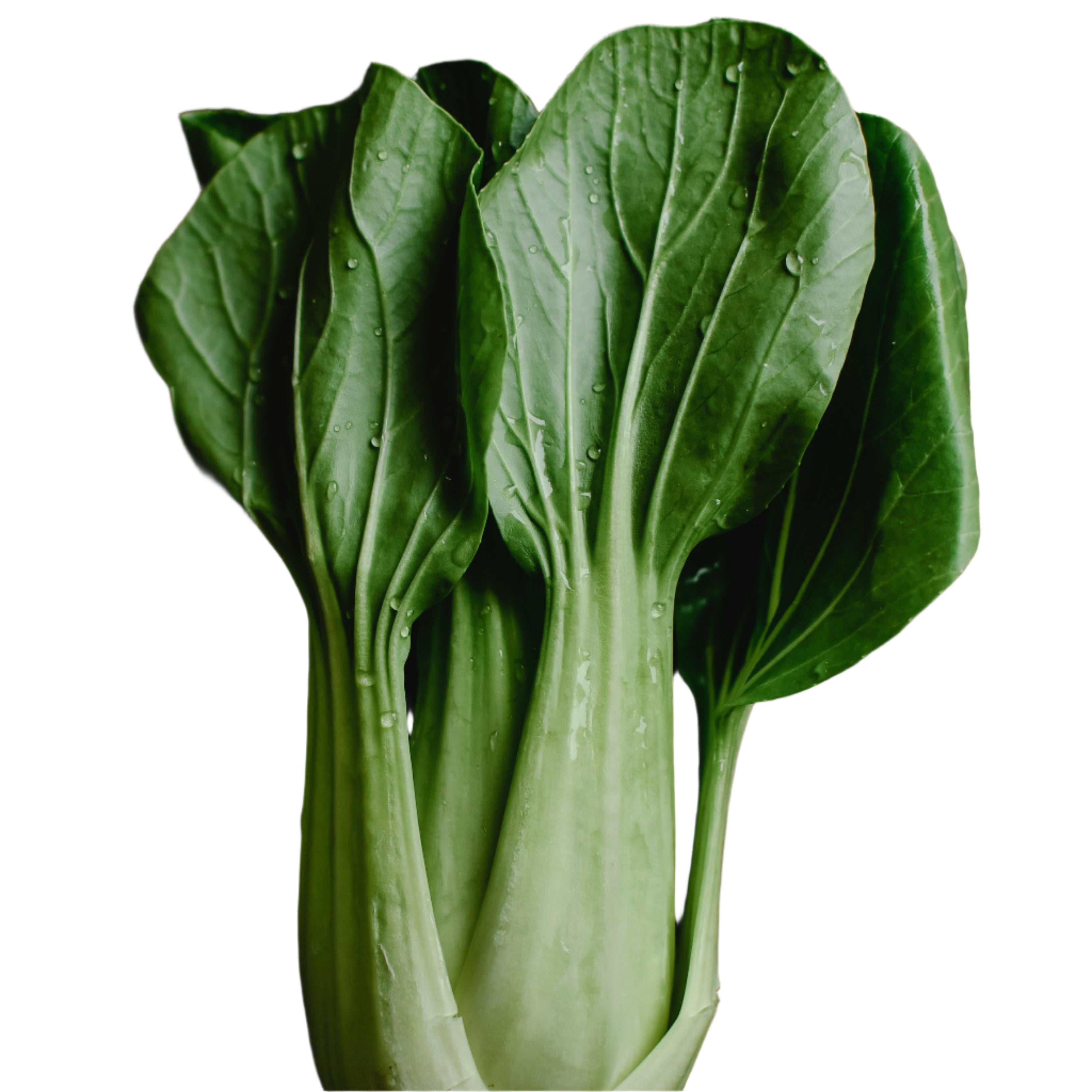 Pac Choi