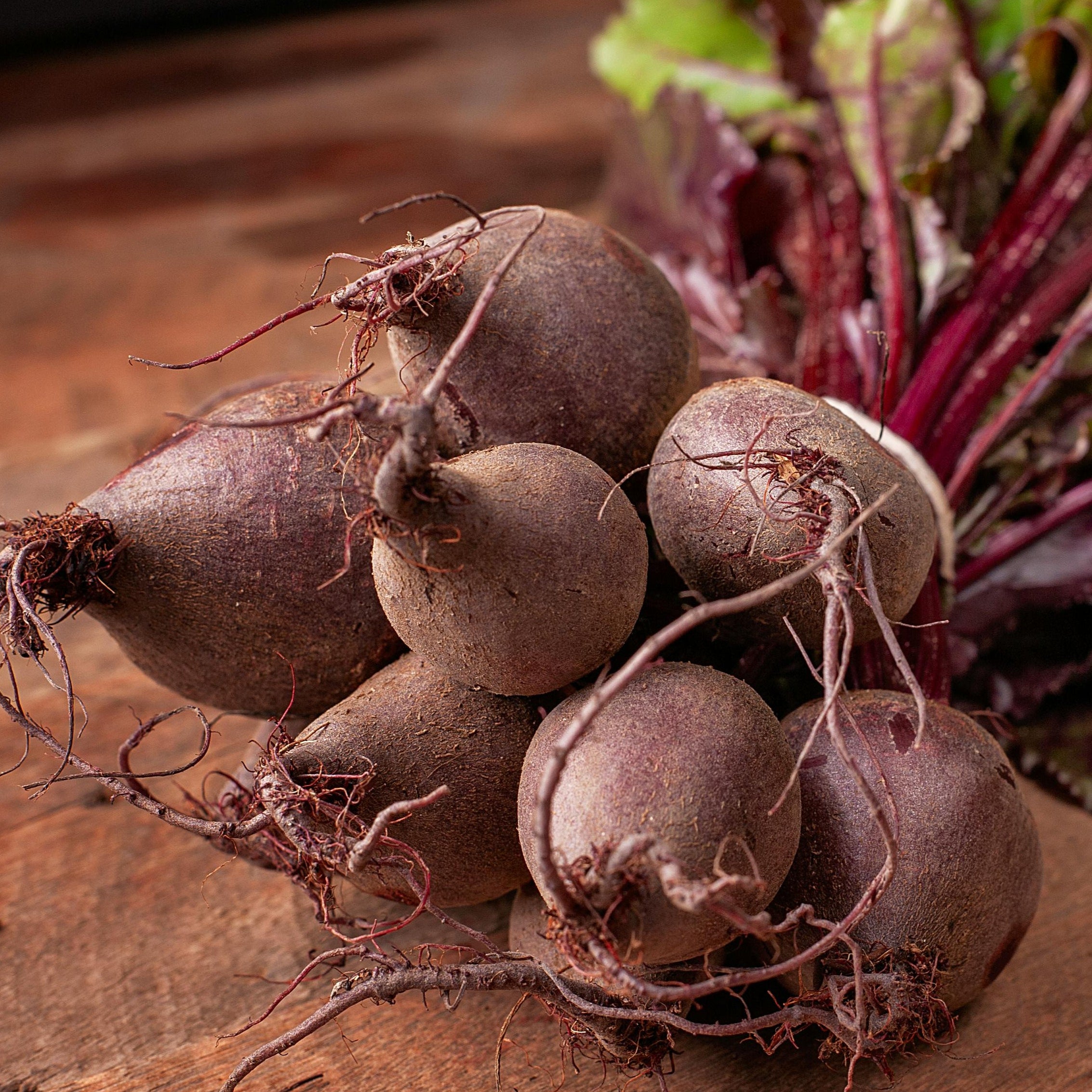 Rödbetor