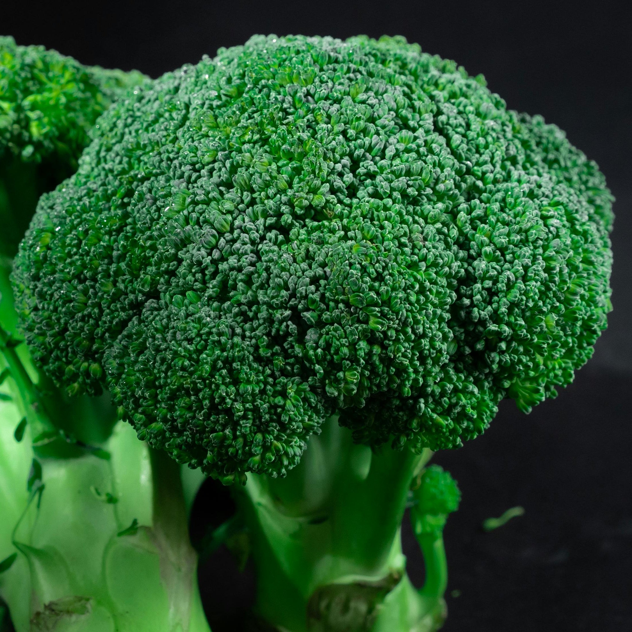 Broccoli