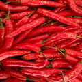Chilli