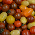Körsbärstomater mix