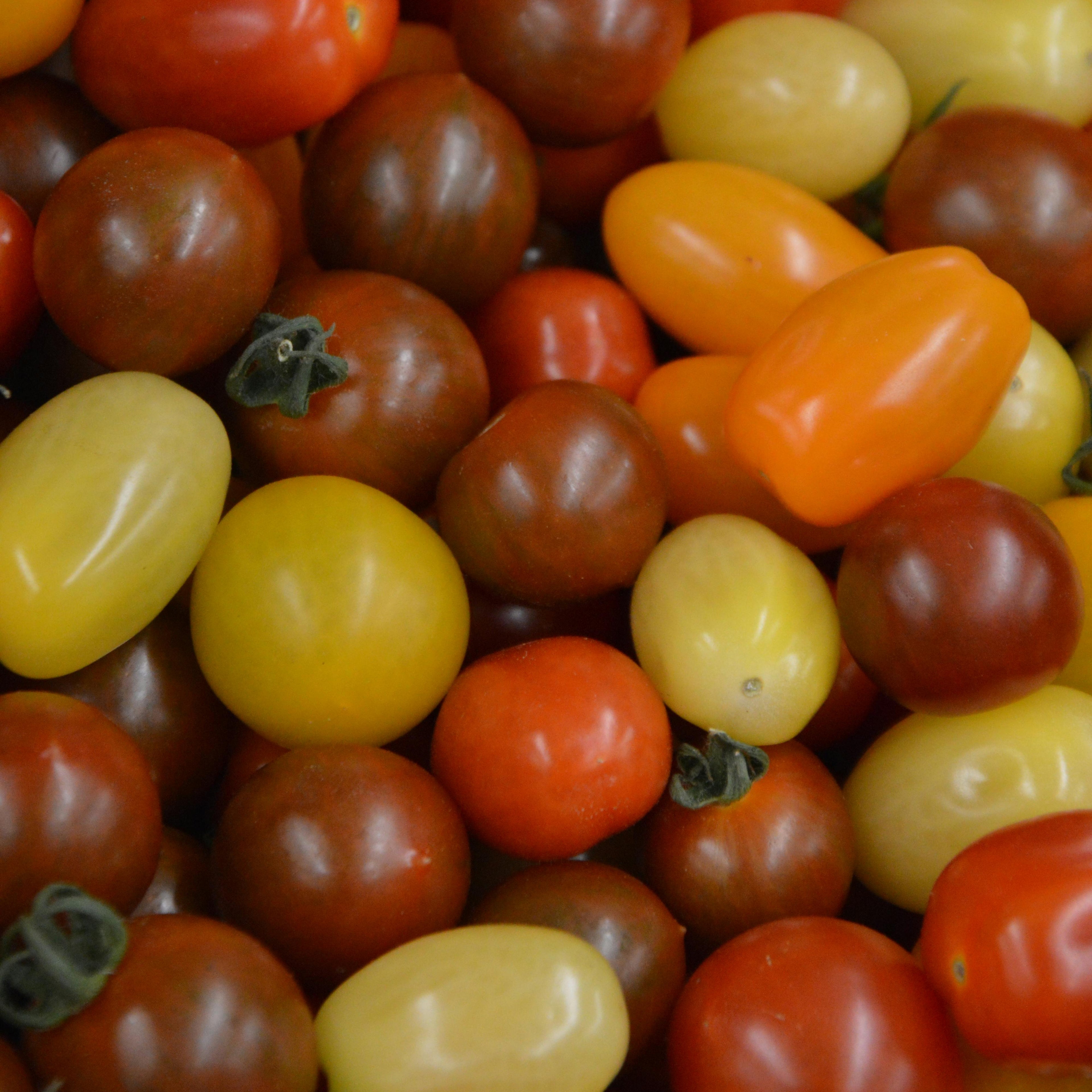 Körsbärstomater mix